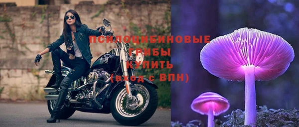 стафф Вязники